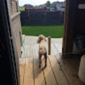 Meet your Posher, Robin